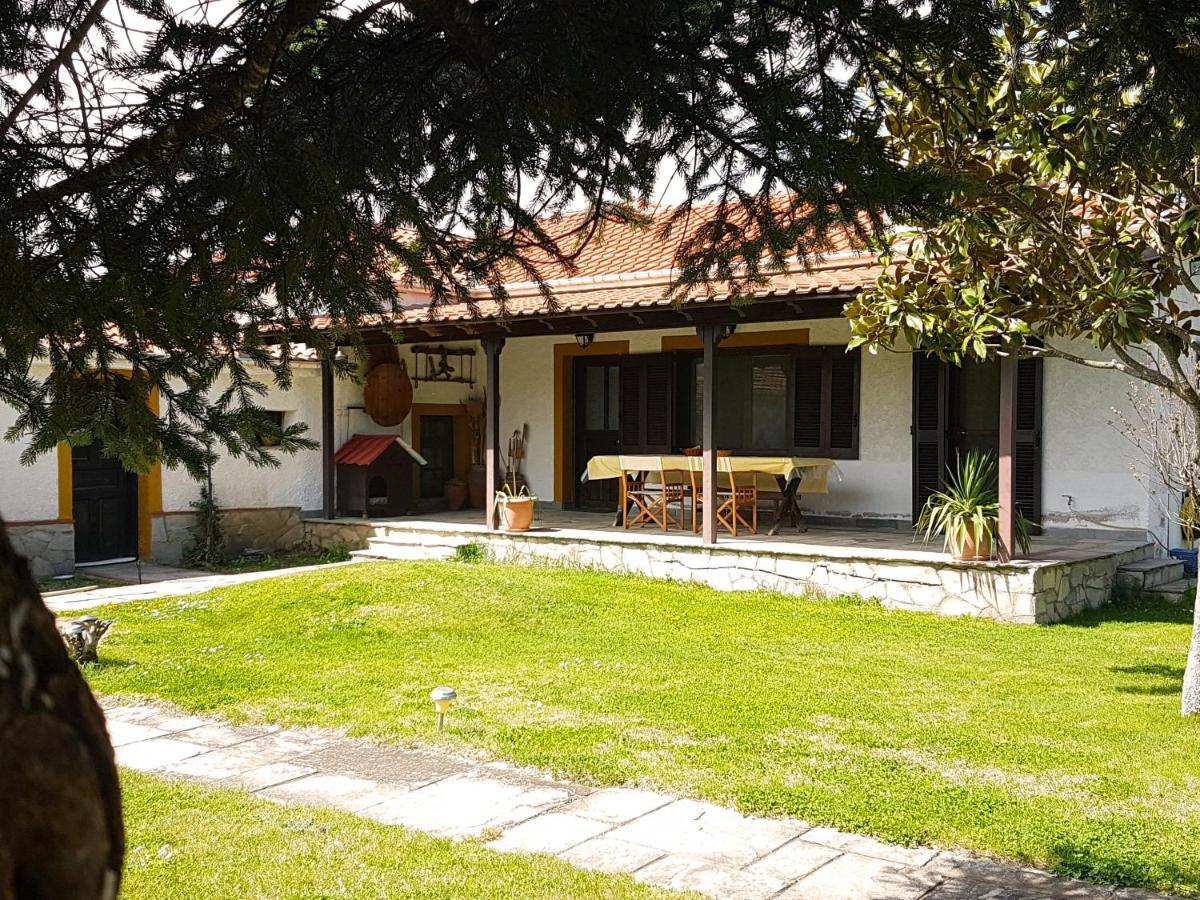 Yiayia'S Rina'S Lovely Cottage Pteria 외부 사진