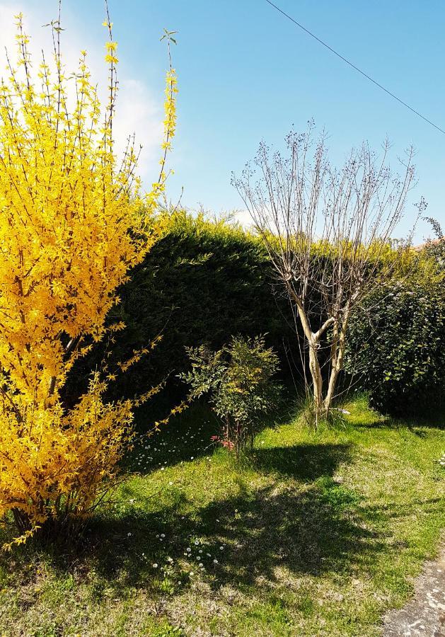 Yiayia'S Rina'S Lovely Cottage Pteria 외부 사진